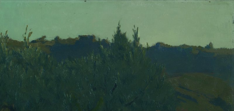 1930 - L'ulivo al tramonto