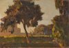 1950 - Alberi a villa Lancellotti 