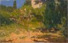 1951 - Il roseto di villa Lancellotti