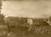 1927 ca.  - Campagna procidana