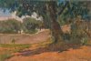 1947 - Villa Lancellotti